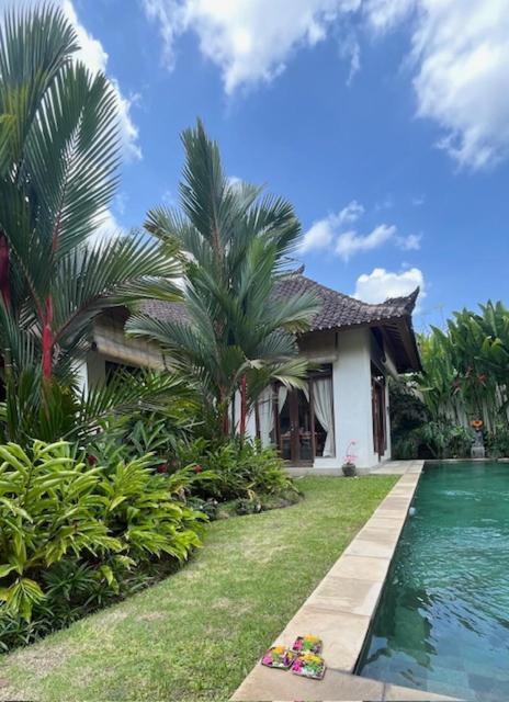 Villa Exotica Убуд Екстериор снимка